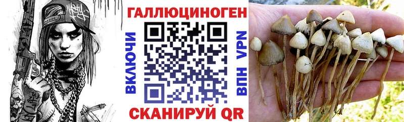 Псилоцибиновые грибы мухоморы дарк нет как зайти Трёхгорный OMG как зайти